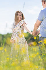 Image showing Young happy pregnant couple in love holding hands, relaxing in meadow.