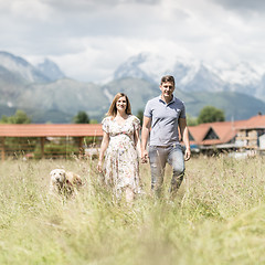 Image showing Young happy pregnant couple holding hands walking it\'s Golden retriever dog outdoors in meadow.