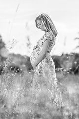 Image showing Beautiful pregnant woman in white summer dress in meadow full of yellow blooming flovers.