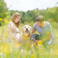 Image showing Young happy pregnant couple petting it\'s Golden retriever dog outdoors in meadow.