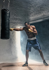 Image showing Boxing training and punching bag