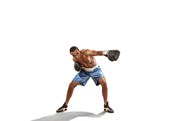 Image showing Sporty man during boxing exercise. Photo of boxer on white background