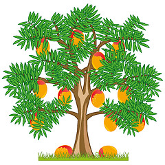 Image showing Vector illustration tree with ripe fruit mango