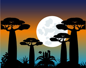 Image showing Tree baobab at moon in the night