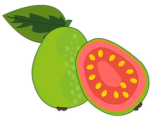 Image showing Fruit guava on white background is insulated