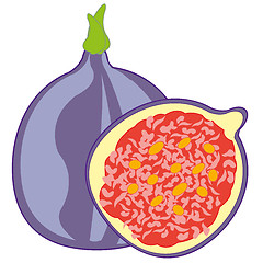 Image showing Fruit figs on white background is insulated