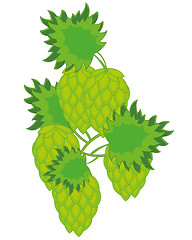 Image showing Vector illustration of the plant hop with fruit