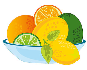 Image showing Vector illustration fruit fruit citrus on plate
