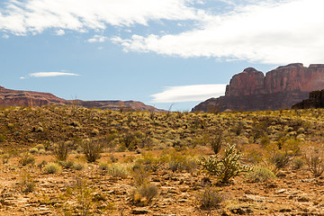 Image showing view of grand canyon desert