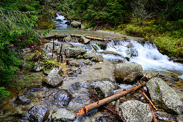 Image showing Mountain creek