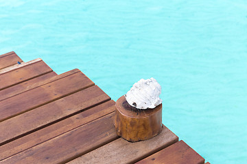 Image showing seashell on wooden pier in sea water