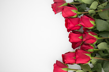 Image showing close up of red roses on white background