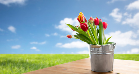 Image showing red tulip flowers on table over blue sky and grass