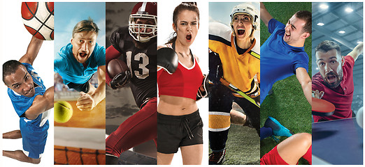 Image showing Sport collage about soccer, american football, basketball, tennis, boxing, field hockey, table tennis