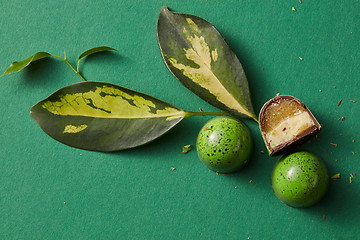 Image showing green candy with jelly