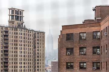 Image showing New York Chinatown district and lower manhattan offices on the becakground