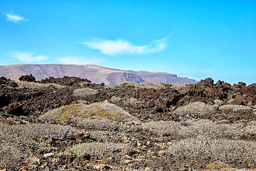 Image showing Landscape of Lanzarote Island, Canaries