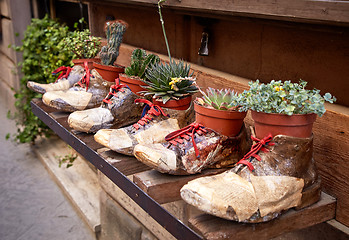 Image showing shoe store advertising on street of Montepulciano 