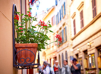 Image showing Street view of Montepulciano city, Italy