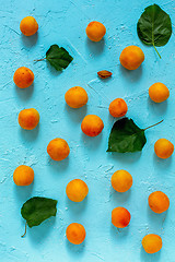 Image showing Organic sweet apricots.