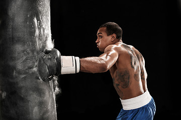 Image showing Boxing training and punching bag