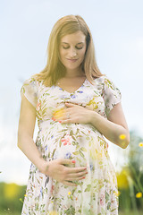 Image showing Beautiful pregnant woman in white summer dress in meadow full of yellow blooming flowers.