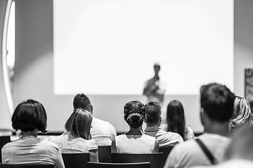 Image showing Business speaker giving a talk at business conference event.