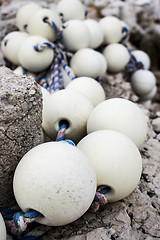 Image showing White stuff on fishing net