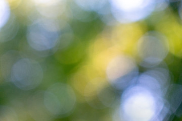 Image showing Bright blue green and yellow bokeh circles on a green natural background. Blurred foliage.