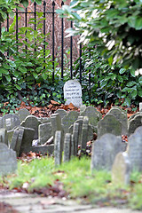 Image showing Muffin Tombstone