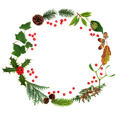 Image showing Winter Flora Wreath