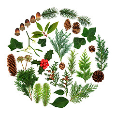 Image showing Winter and Christmas Flora and Fauna