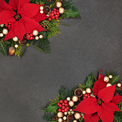 Image showing Christmas Poinsettia Flower Border