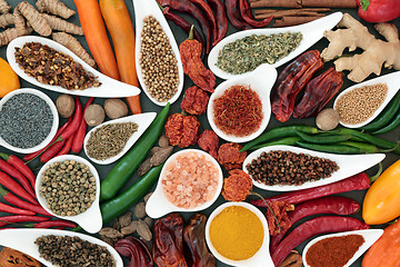 Image showing Herb and Spice Seasoning Selection