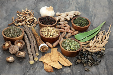 Image showing Adaptogen Herbs and Spices