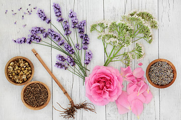 Image showing Natural Herbal Medicine