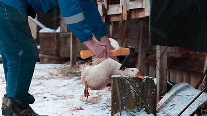 Image showing goose head chopped off with an ax