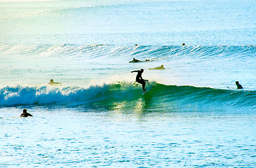 Image showing Surfers in the ocean