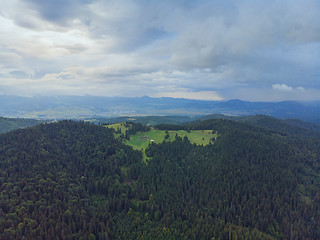 Image showing Aerial view of green forest