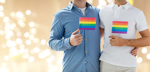 Image showing close up of male gay couple holding rainbow flags