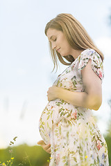 Image showing Beautiful pregnant woman in white summer dress in meadow full of yellow blooming flovers.