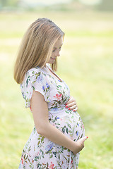 Image showing Beautiful pregnant woman in white summer dress in meadow full of yellow blooming flovers.