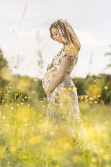 Image showing Beautiful pregnant woman in white summer dress in meadow full of yellow blooming flowers.