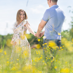 Image showing Young happy pregnant couple in love holding hands, relaxing in meadow.