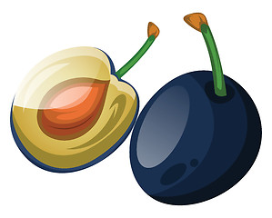 Image showing Blue damson plum cut in half cartoon fruit vector illustration o