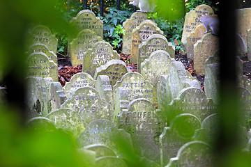 Image showing Pets Graveyard