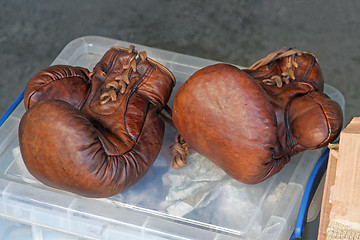 Image showing Vintage Boxing Gloves