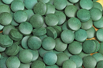 Image showing Spirulina