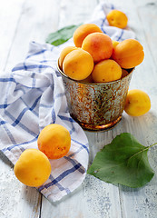 Image showing Ripe apricots in a metal bucket.
