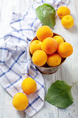 Image showing Organic juicy apricots in an old bucket.